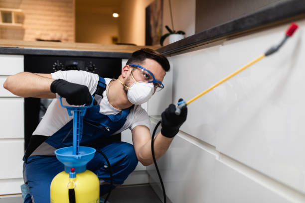 Best Rat Extermination Near Me  in Weber City, VA