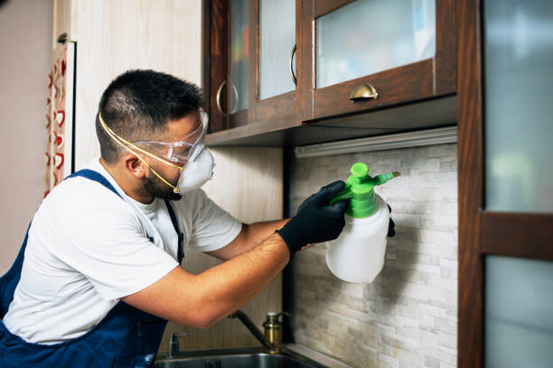Best Exterminator Services  in Weber City, VA