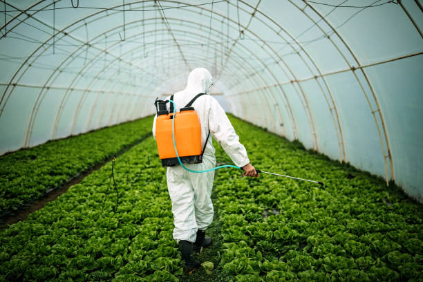Best Affordable Pest Control Services  in Weber City, VA