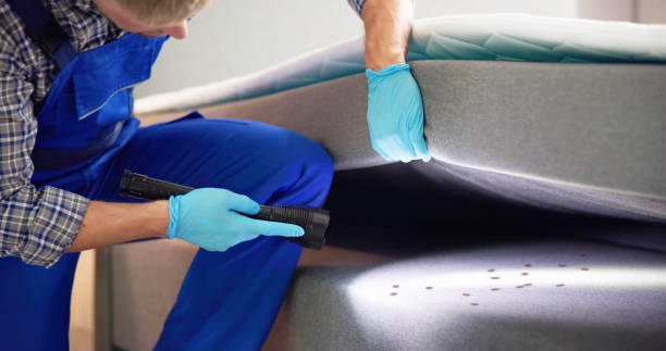 Pest Prevention Services in Weber City, VA