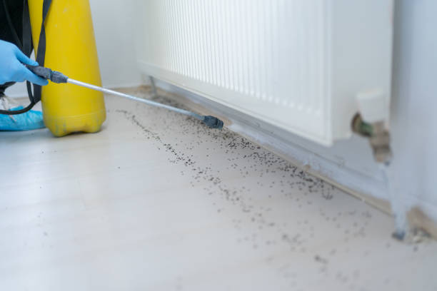 Best Pest Inspection Near Me  in Weber City, VA